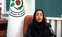 قرنطینه گیاهی سپر دفاعی امنیت غذایی کشور است/ همکاری ملی در حفاظت از بخش کشاورزی